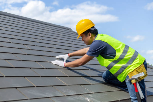 Best Solar Panel Roofing Installation  in Butner, NC